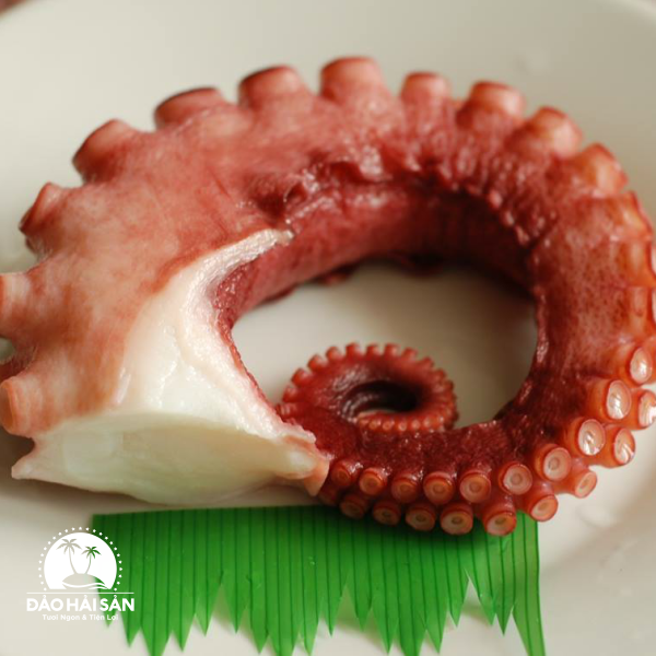 Bạch Tuộc Nhật (Chuẩn Sashimi)