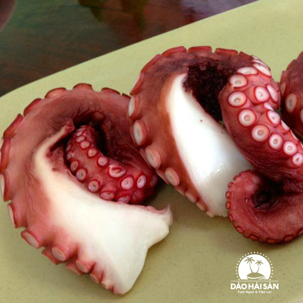 Bạch Tuộc Nhật (Chuẩn Sashimi)