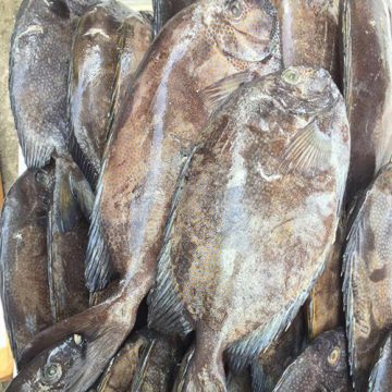 Cá Dìa Đen/ 1kg