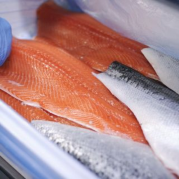 Cá Hồi Phi Lê Tươi Nguyên Miếng/ Miếng 2kg