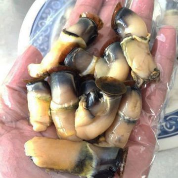 Cồi Hàu Điếu (kg)