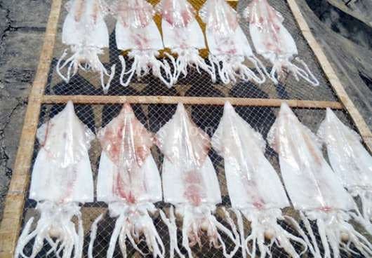 mực một nắng bao nhiêu tiền 1kg