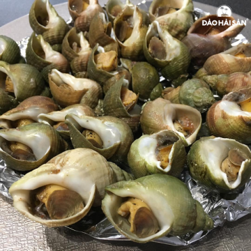 Ốc Bulot Pháp (Kg)