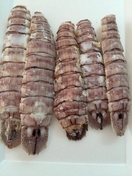 Thịt Tôm Tít (Size Lớn)
