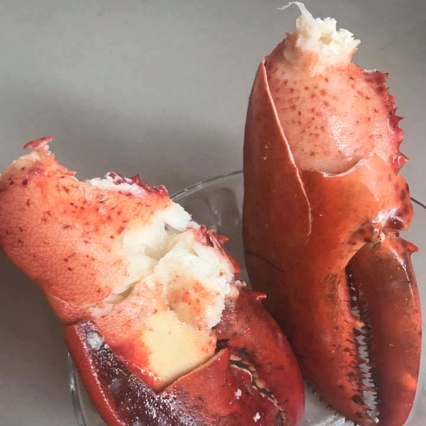 Tôm Hùm Alaska Sống