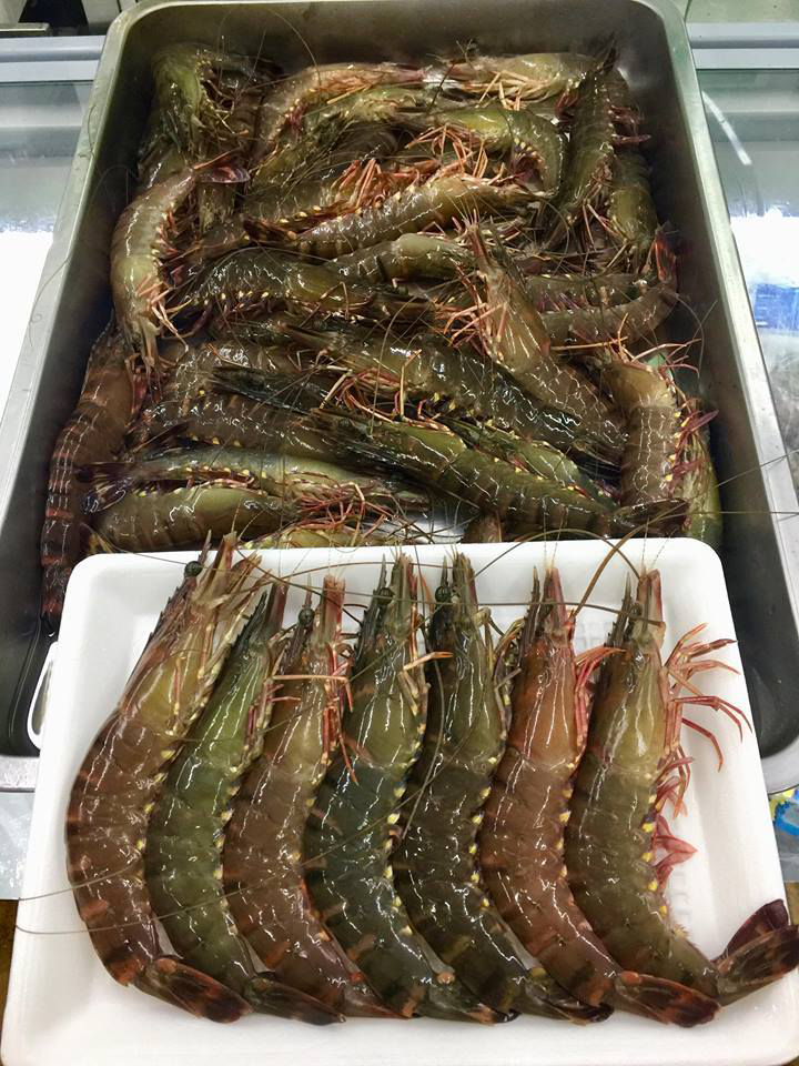 Tôm Sú Quảng Canh