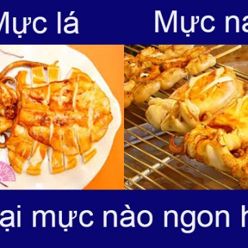 Mực nang và mực lá khác nhau ra sao mực nào ngon hơn?