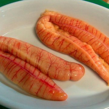 Các cách nấu và chế biến trứng cá ngừ đại dương ngon